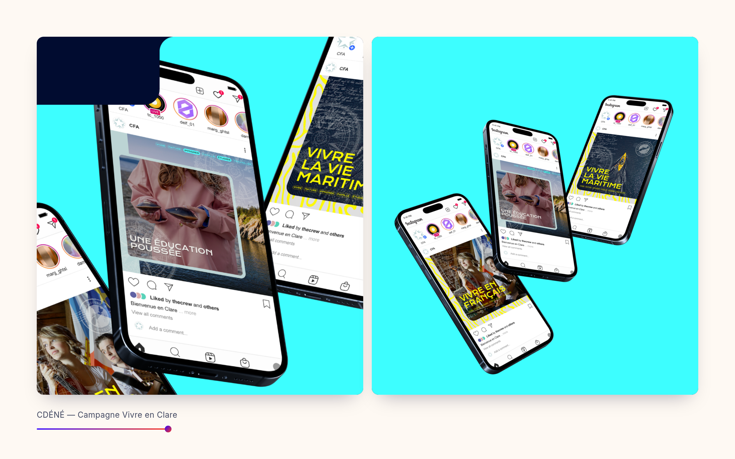 Mosaïque de la campagne Vivre en Clare : publications sur téléphones